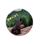 僕は壱！（個別スタンプ：1）