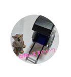 僕は壱！（個別スタンプ：3）