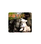僕は壱！（個別スタンプ：5）