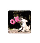 僕は壱！（個別スタンプ：7）
