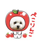 pannacotta③（個別スタンプ：5）