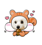 pannacotta③（個別スタンプ：8）