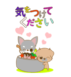 Happeve‐toYvu-（個別スタンプ：16）