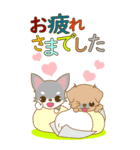 Happeve‐toYvu-（個別スタンプ：37）