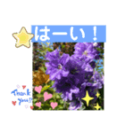 お庭のお花でこんにちは〜（個別スタンプ：2）