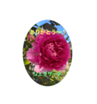 お庭のお花でこんにちは〜（個別スタンプ：7）