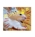 みるくスタンプ！part2！（個別スタンプ：3）