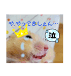 みるくスタンプ！part2！（個別スタンプ：4）