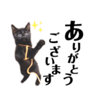 N--Animals（個別スタンプ：1）