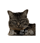 すもちゃんとねずこ（個別スタンプ：2）