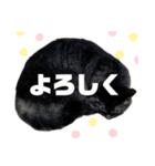 すもちゃんとねずこ（個別スタンプ：6）