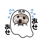 みぱか（個別スタンプ：7）