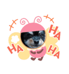 私の家族パル（個別スタンプ：2）