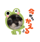 私の家族パル（個別スタンプ：4）