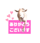 おててが邪魔すたんぴ（個別スタンプ：4）