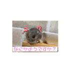 スタハム（個別スタンプ：4）