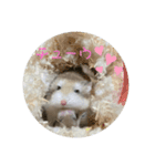 スタハム（個別スタンプ：8）