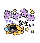 私の家族パル 弐（個別スタンプ：2）