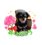 私の家族パル 弐（個別スタンプ：7）