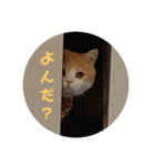 きな餅3（個別スタンプ：2）