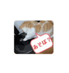 きな餅3（個別スタンプ：6）