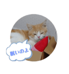 きな餅3（個別スタンプ：7）