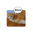 きな餅3（個別スタンプ：15）