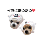 KATIE＆CLAIRE 6（個別スタンプ：1）