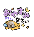麦ちゃんの日常会話6（個別スタンプ：2）