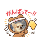麦ちゃんの日常会話6（個別スタンプ：14）