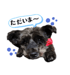 こころっちスタンプ（個別スタンプ：2）