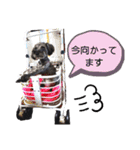 こころっちスタンプ（個別スタンプ：6）