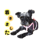 こころっちスタンプ（個別スタンプ：7）