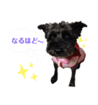 こころっちスタンプ（個別スタンプ：12）