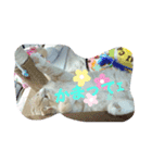lapis'（個別スタンプ：8）