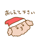 トイプーと一緒♪＜クリスマスやお正月＞（個別スタンプ：16）