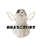こはくはうるてと2！（個別スタンプ：2）