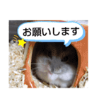 きゃにをすたんぴー（個別スタンプ：8）