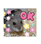 きゃにをすたんぴー（個別スタンプ：9）