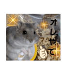 きゃにをすたんぴー（個別スタンプ：16）