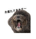 梅吉だキチ（個別スタンプ：9）