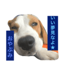 うちのぽん酢（個別スタンプ：8）