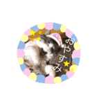 テオット4（個別スタンプ：3）