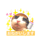 テオット4（個別スタンプ：4）