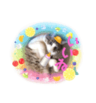 テオット4（個別スタンプ：9）