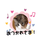 テオット4（個別スタンプ：10）