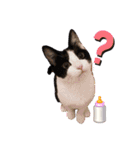 テオット4（個別スタンプ：22）