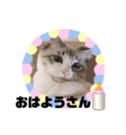 テオット4（個別スタンプ：28）