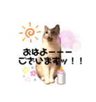 テオット4（個別スタンプ：30）