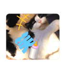 テオット4（個別スタンプ：31）
